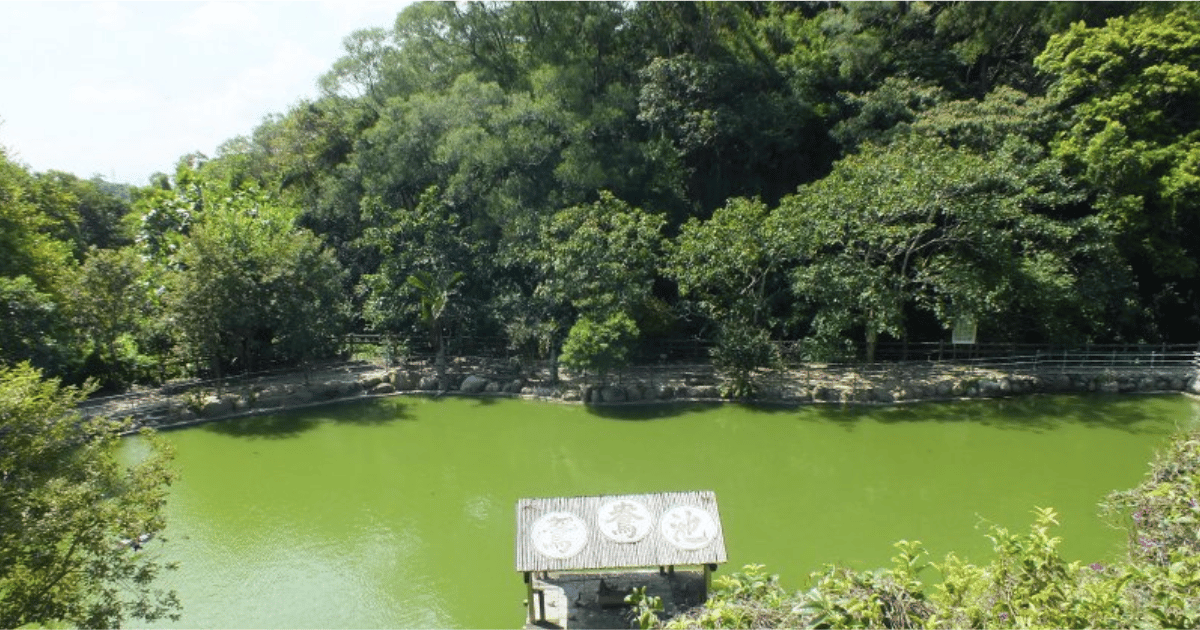 霽月森林步道
