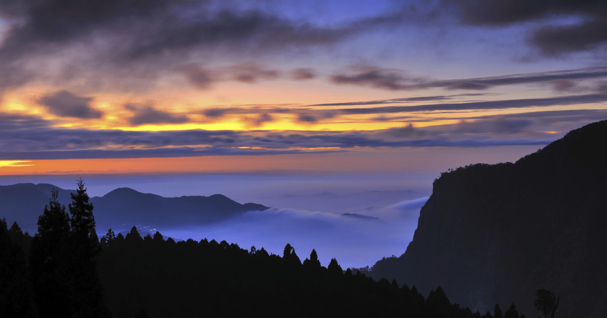 阿里山森林神木