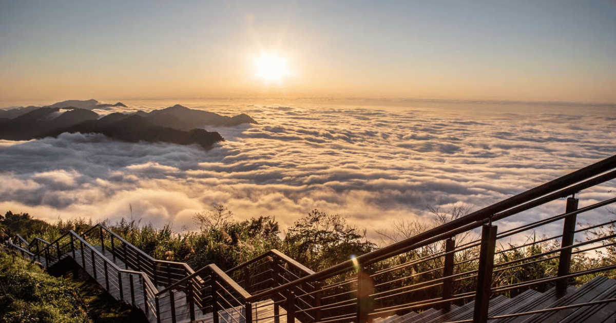 阿里山森林
