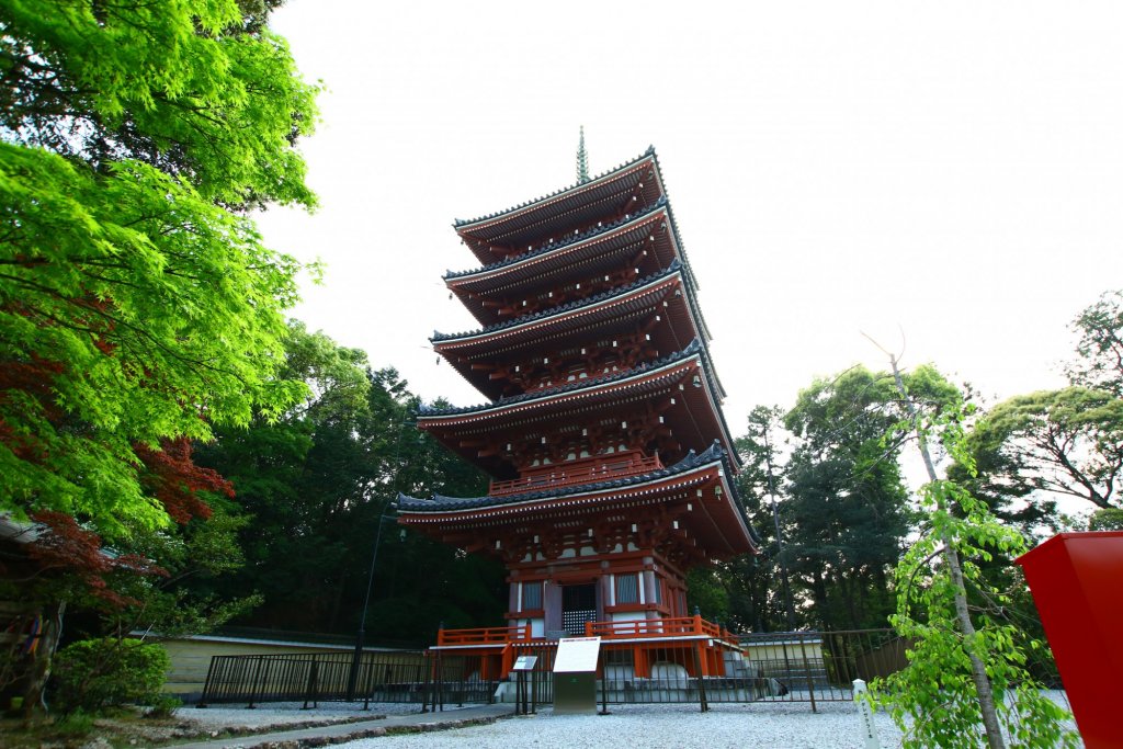 高知竹林寺抄經與四萬十川照片