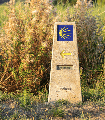 行前訓練 每日分享