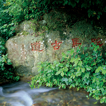 山徑越野｜跑馬古道